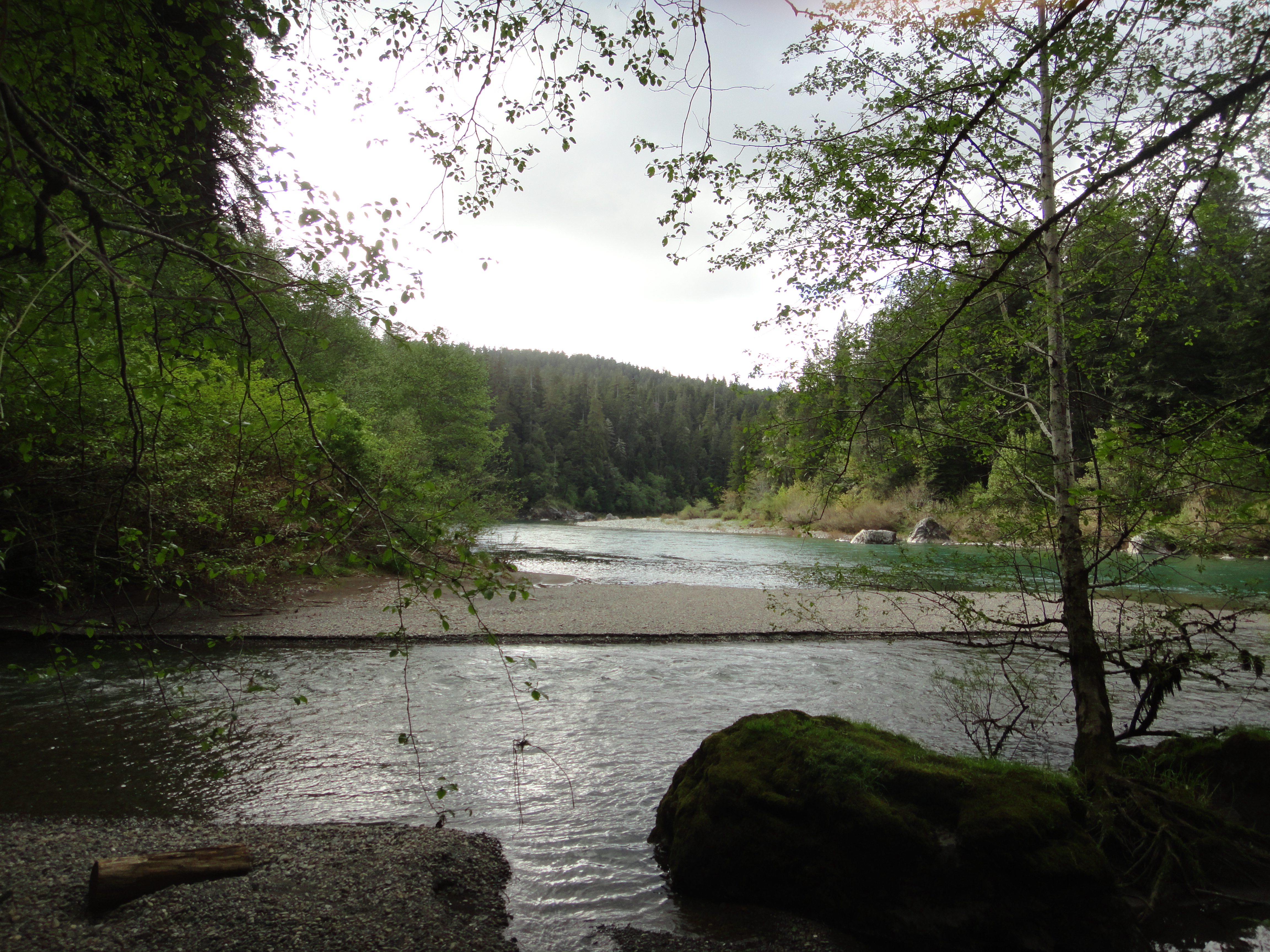 After the Storm – by RON GIBSON