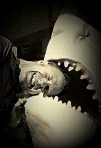 edf_shark