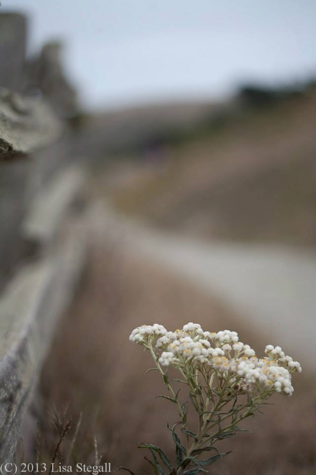 Untitled – by Buffy the&nbsp;Writer