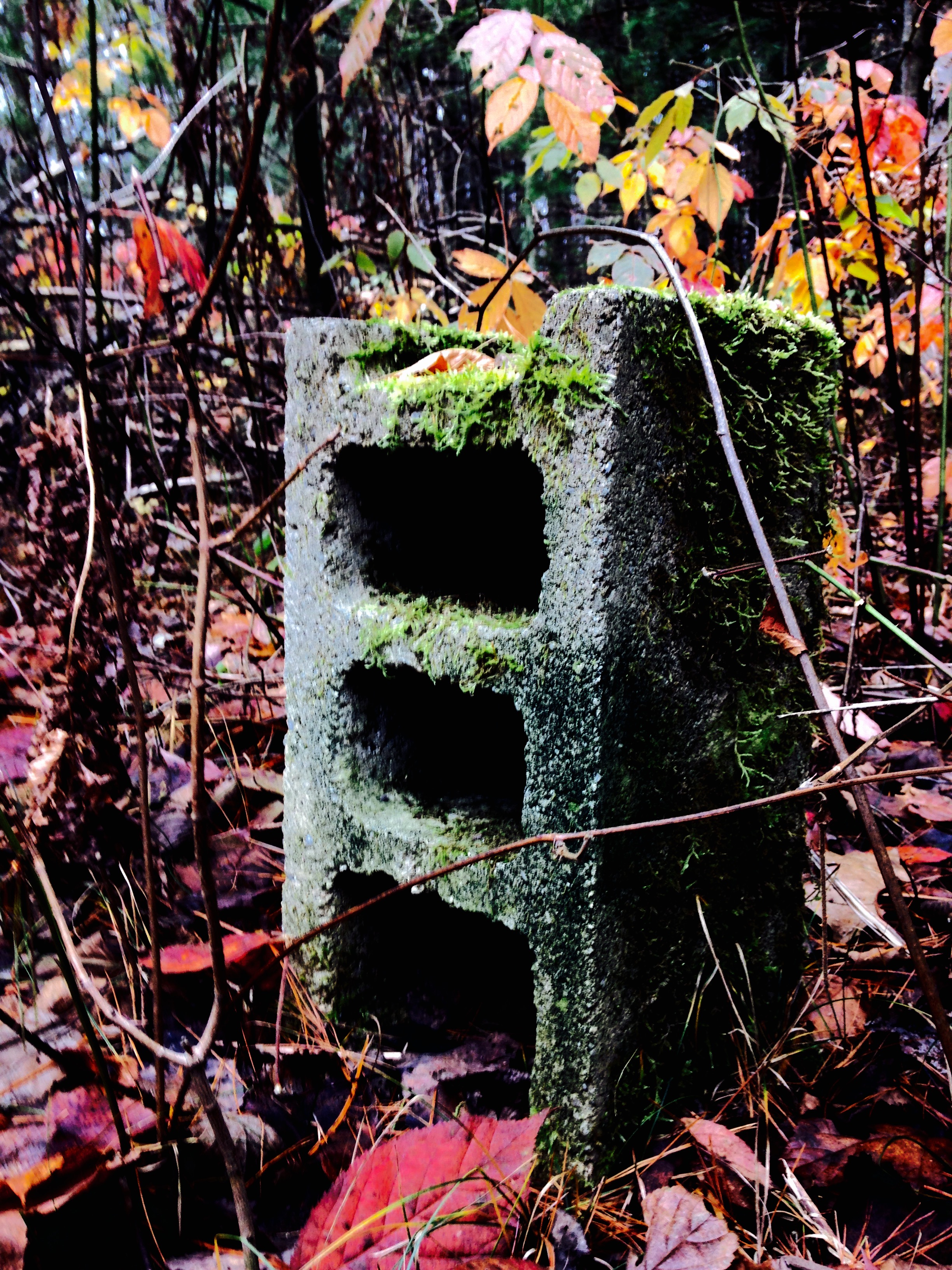 Almost Invisible – by JASON JACKSON