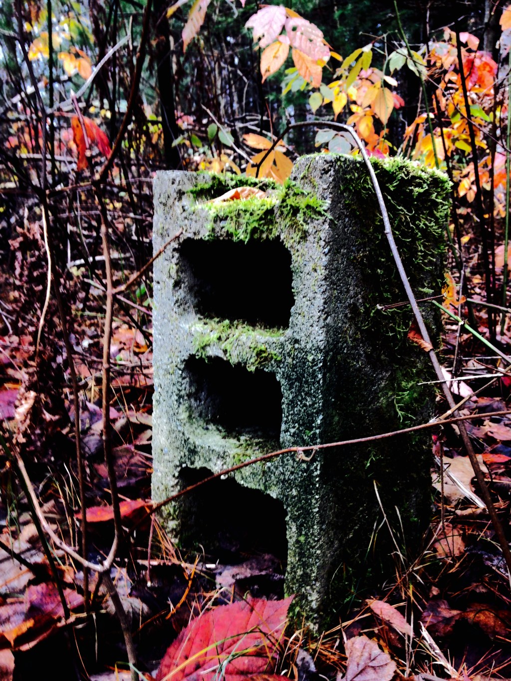 Almost Invisible – by JASON&nbsp;JACKSON