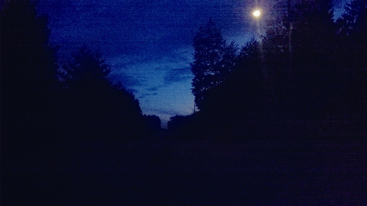 Who Stole the Moon – by RICHARD GREEN
