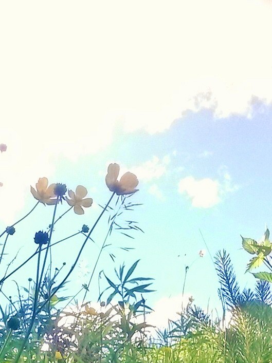 Mum, I’m Sorry – by KATIE LEWINGTON