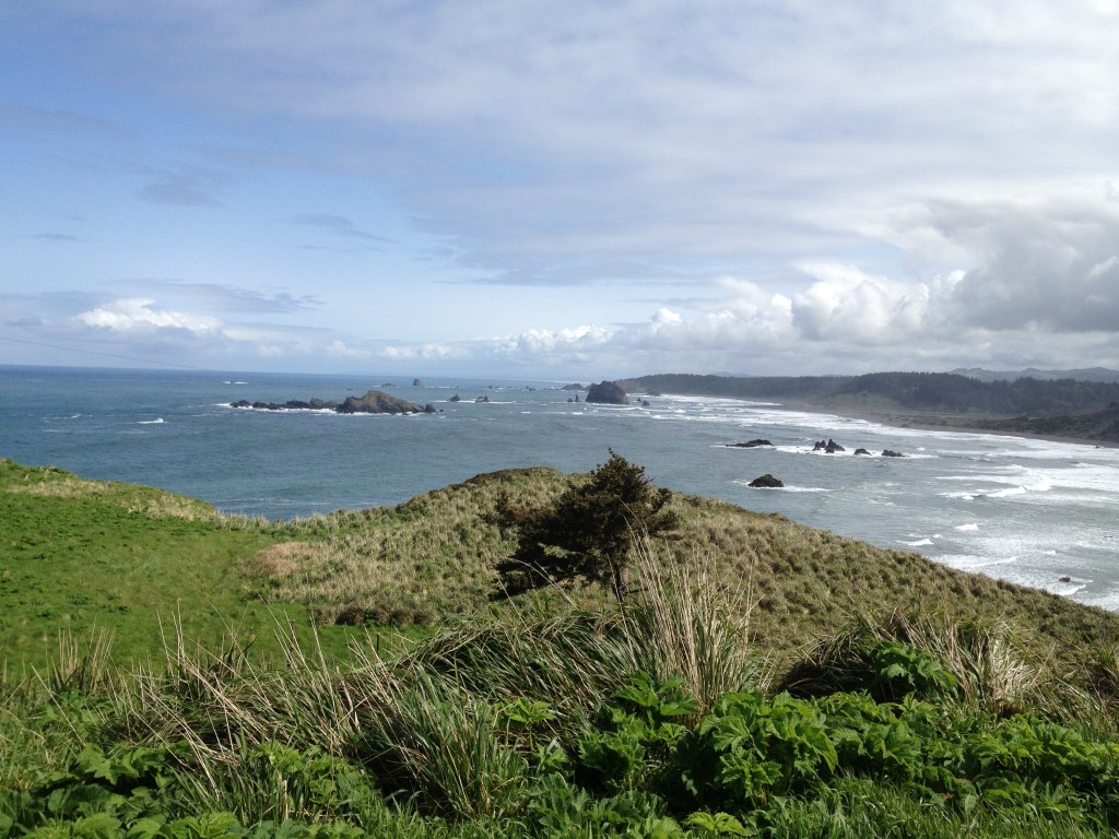 We Walk To – by DAN&nbsp;DIEHN