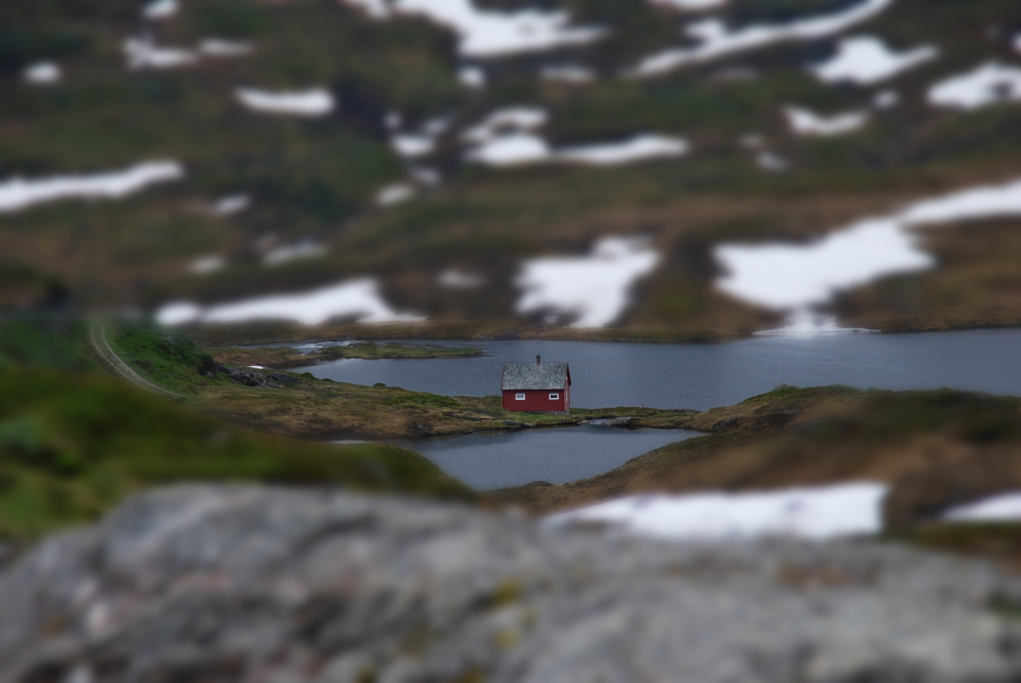 Shrink – by DAVID COOK