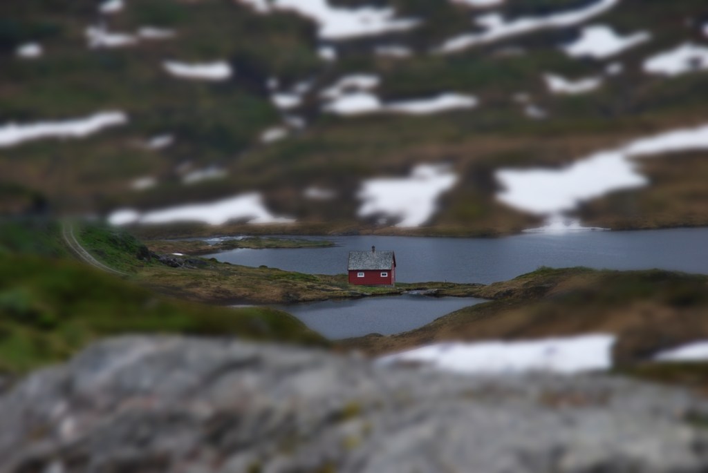 Shrink – by DAVID&nbsp;COOK