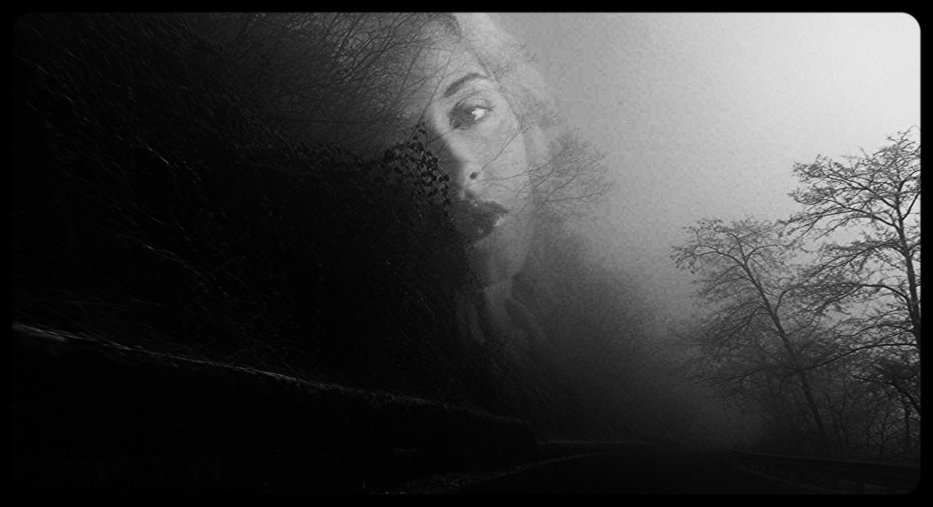 Sonnets – from FRED&nbsp;LAMANNA