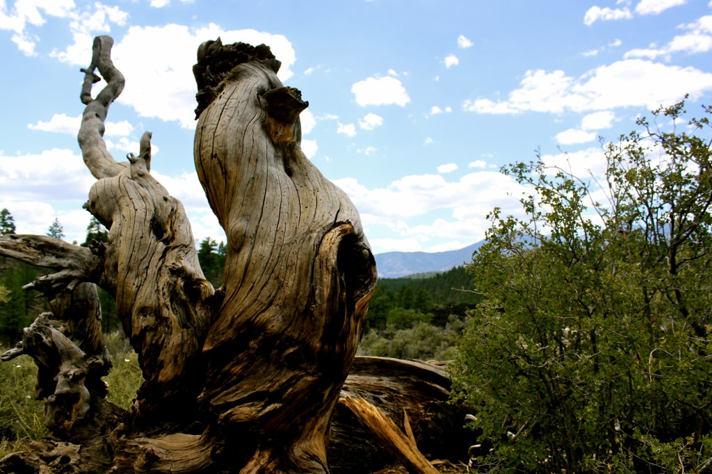 Love Springs Eternal…Until it Doesn’t – by DEE&nbsp;LEAN