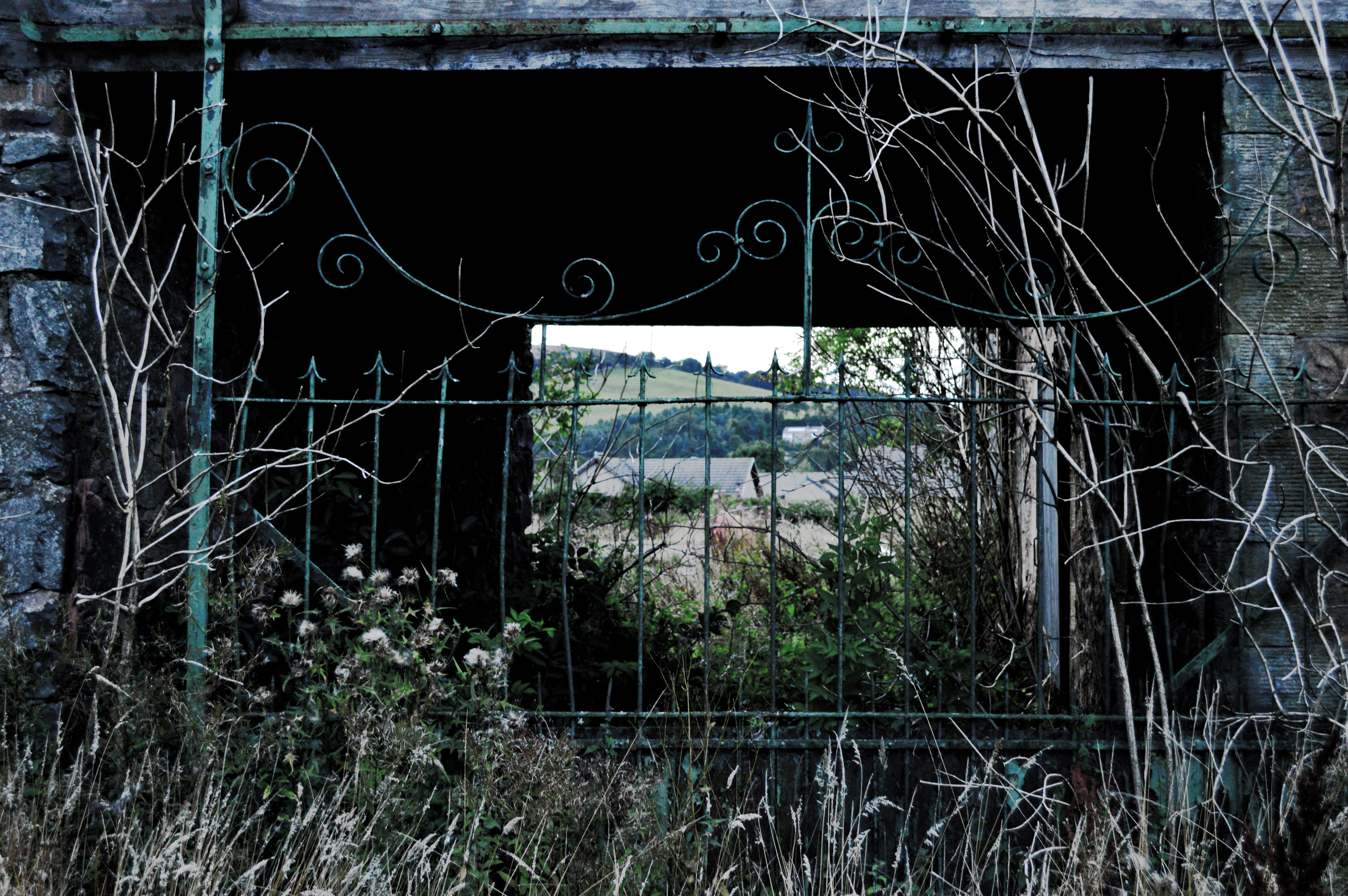 Billdewing – by ASHLEY SGRO