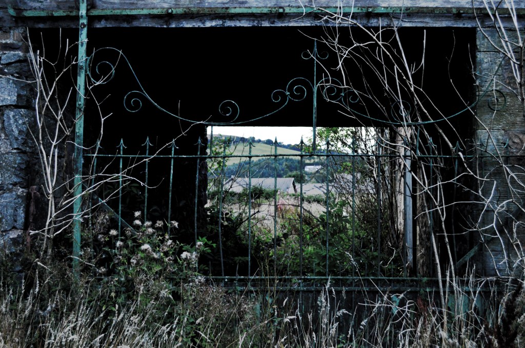 Billdewing – by ASHLEY&nbsp;SGRO