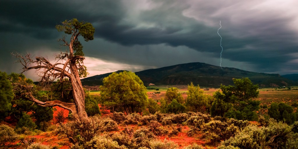 Reckless Heart/Hollow Eyes/Raging Storm – by NICOLE&nbsp;SURGINER