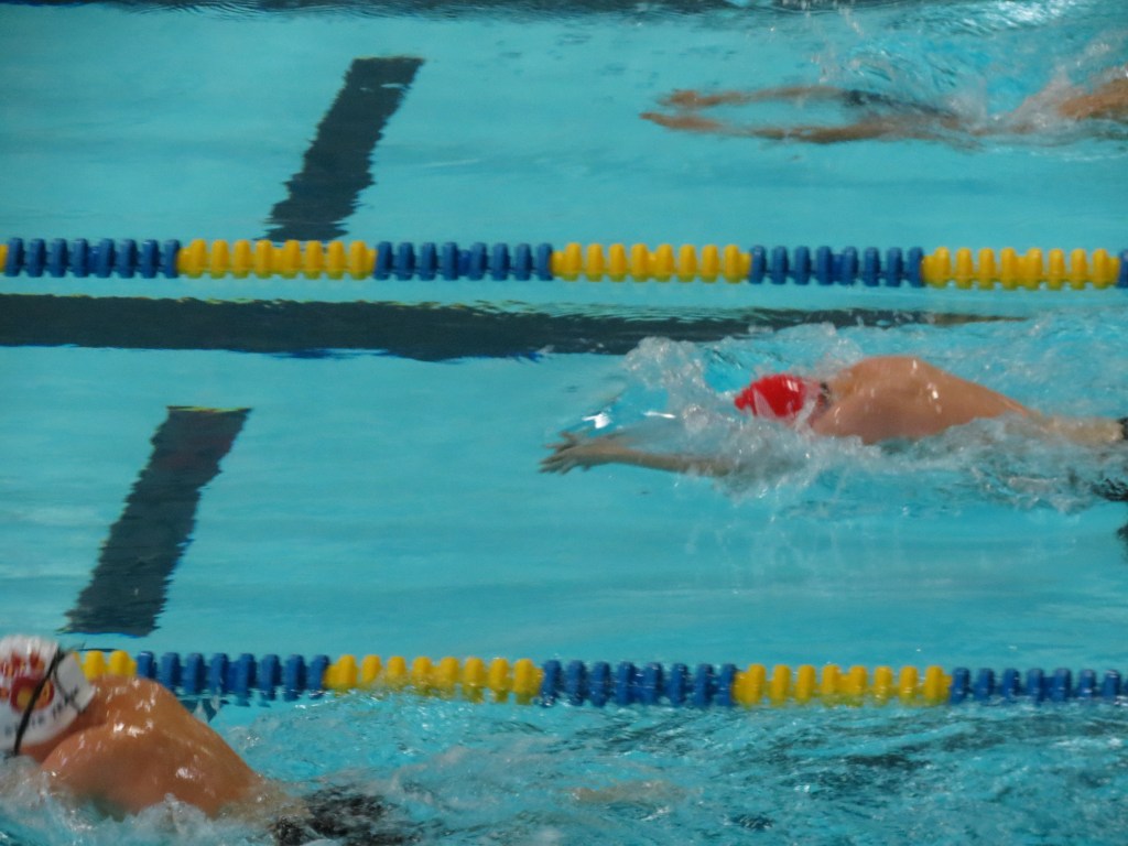 Backstroke Makes Me Think of You – by MELISSA&nbsp;LIBBEY