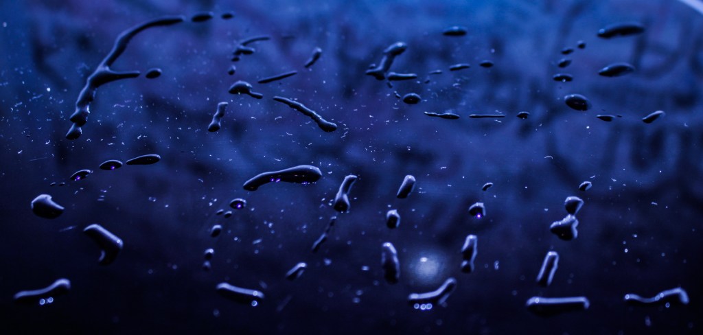 Rain – by SOPHIA&nbsp;LI