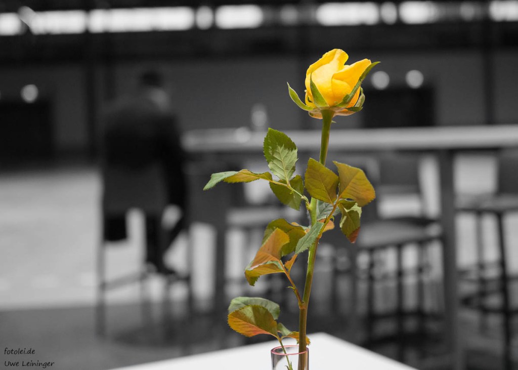 Petals – by Dane&nbsp;Cobain