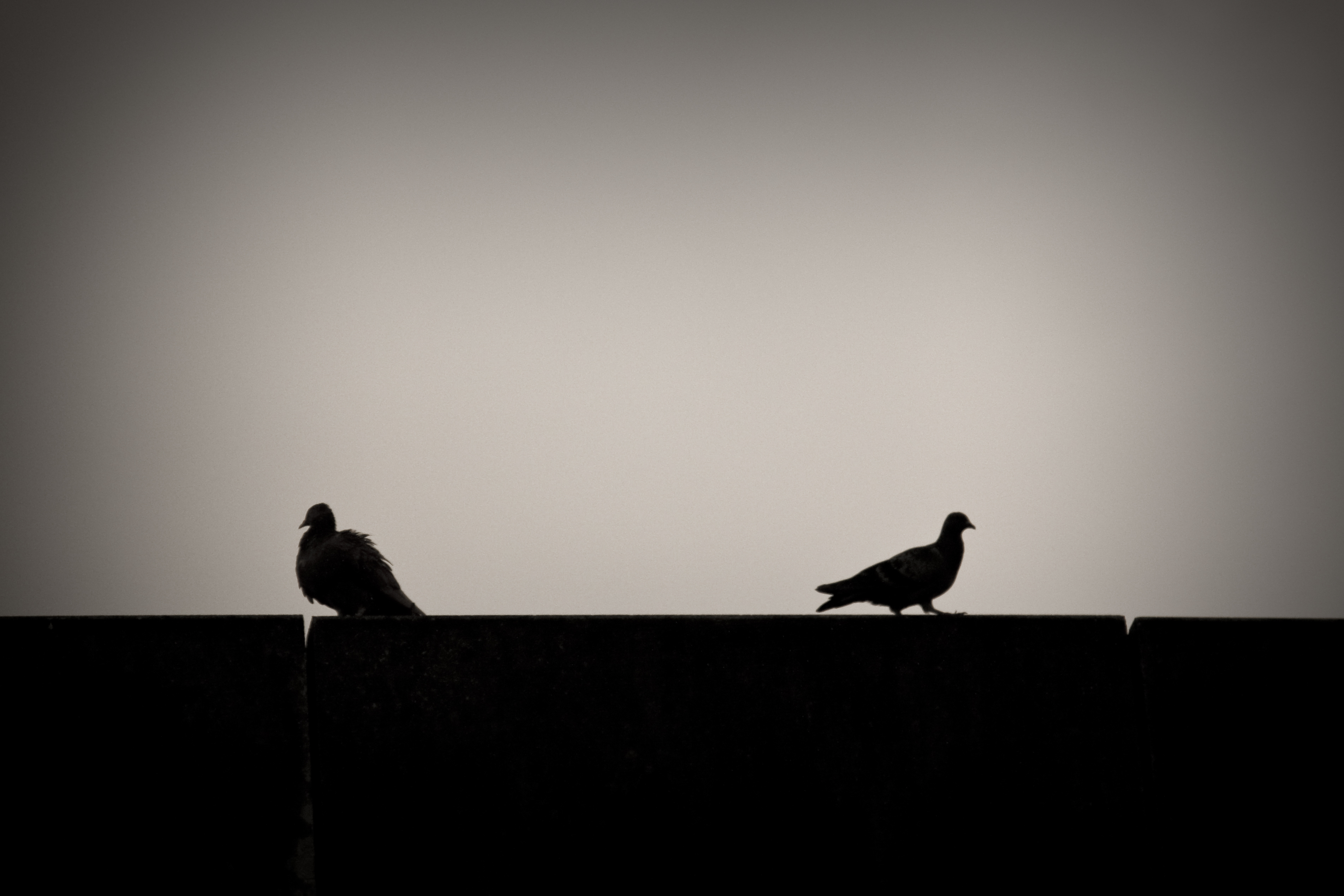 We Exist at the Margins – by GREG HILL