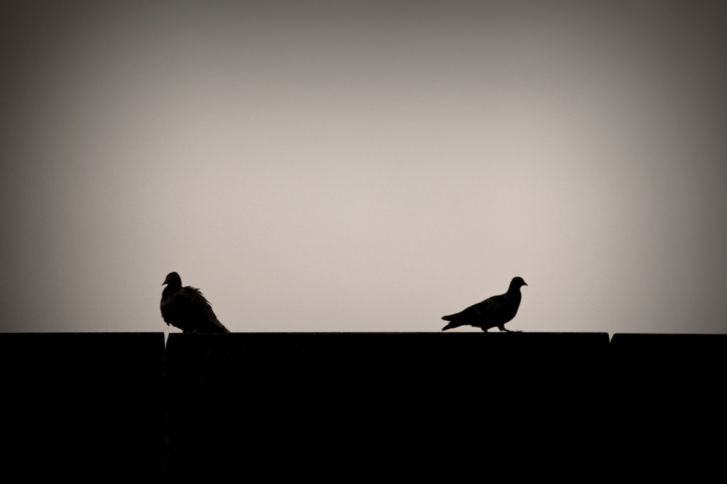 Lovesong of the Damaged – by Ruma&nbsp;Chakravarti