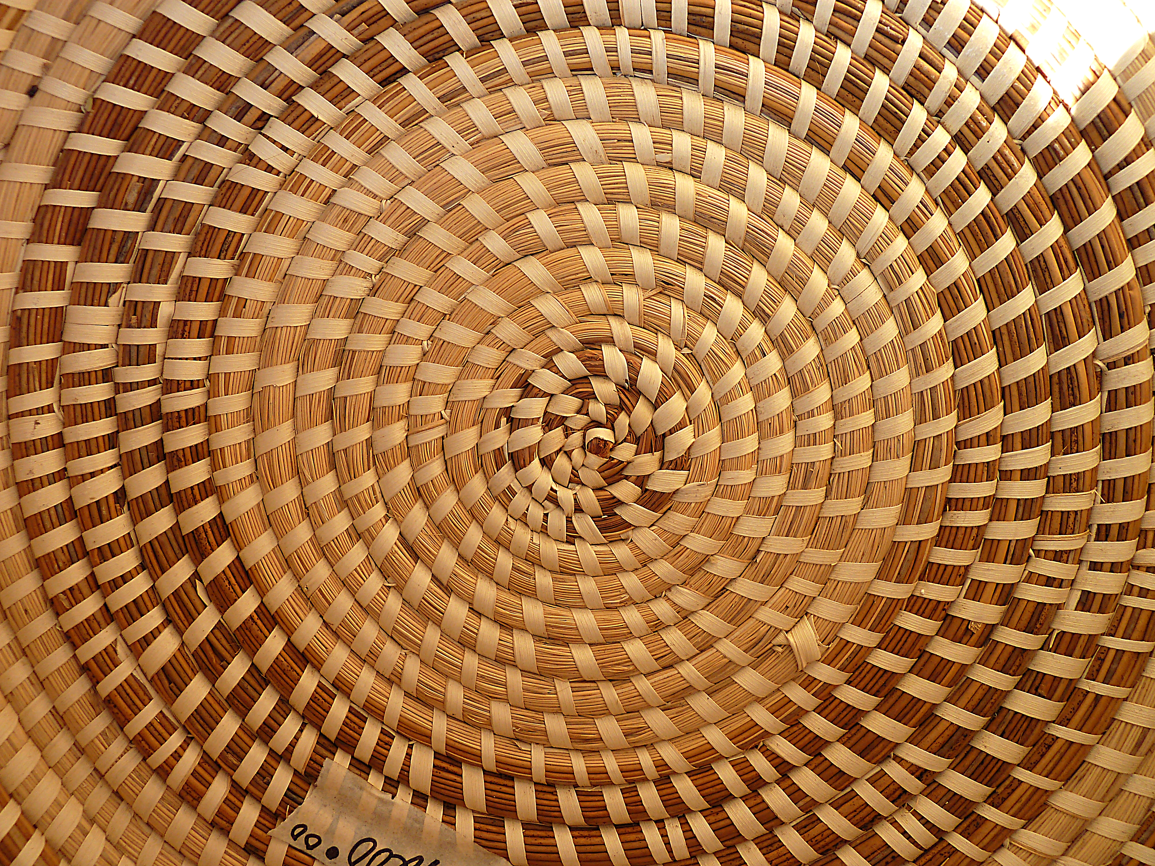 The Basket – by SOPHIE VAN LLEWYN