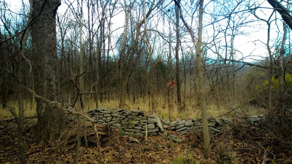 Love’s Wrong Turn / Winter Made the Trees Suffer – by PEGGY&nbsp;TURNBULL