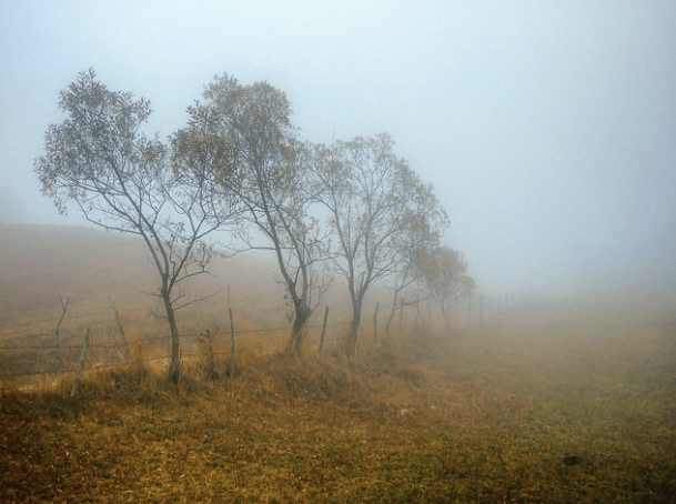 Upended/Walking in a Limbo of Words – by Sergio&nbsp;Ortiz