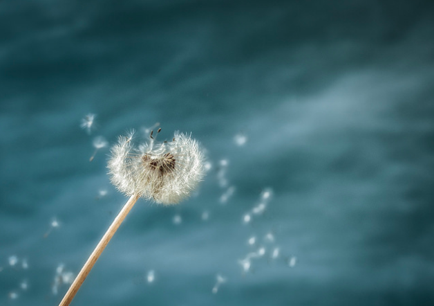 The Hour of Forgiveness – by Anna Keeler