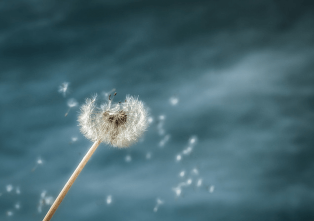The Hour of Forgiveness – by Anna&nbsp;Keeler