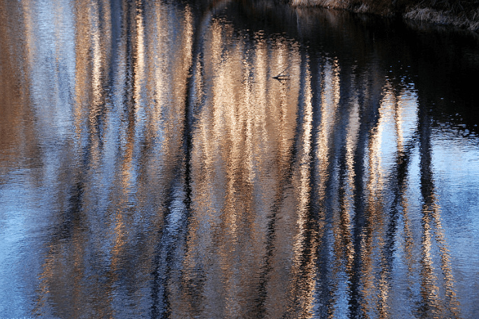 Bleak/Apparition by Broken&nbsp;Montague