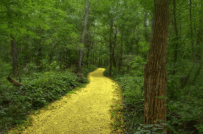 Follow ‘Da’ Yellow Brick Road (Oh My) by Renee’&nbsp;Drummond-Brown