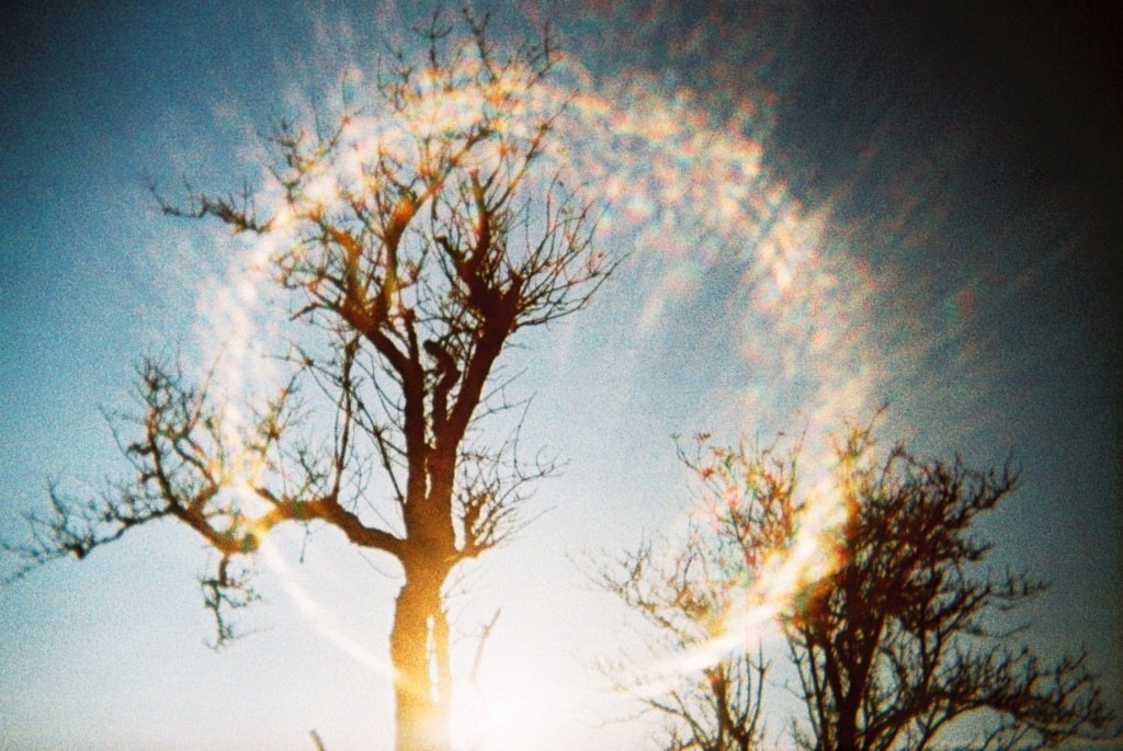 His Story / My Story – by BRIDGET&nbsp;LANGDON