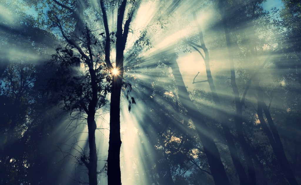 Kaleidoscope – by JOANNE&nbsp;SPENCER
