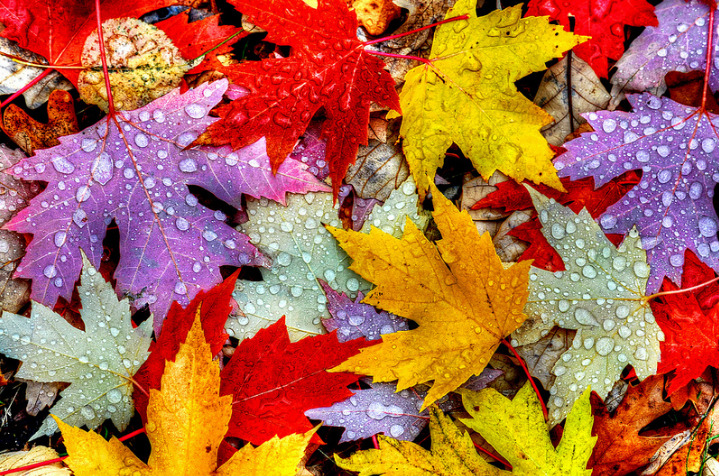 Are You All Ready to Celebrate my Favorite Month? Yay its October!- Senior Editor, Melissa&nbsp;Libbey