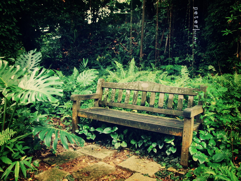 Let’s Talk about Unhinged… – MARISELA I.&nbsp;MITCHLEY