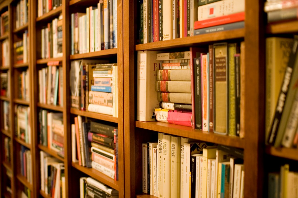 The Library Tale – by Ray&nbsp;Busler