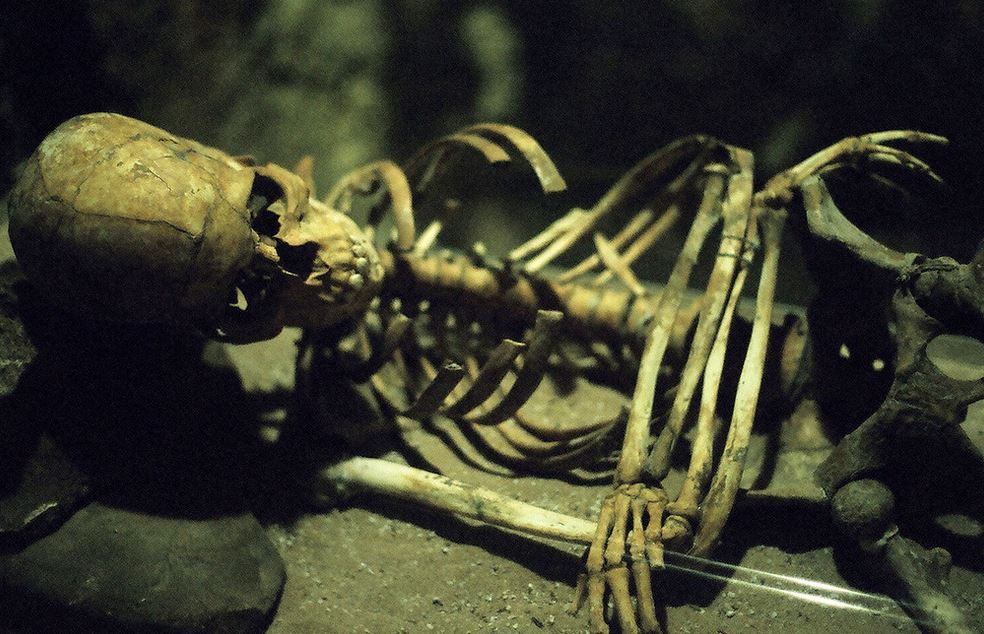 Bones – by Natalie&nbsp;Crick