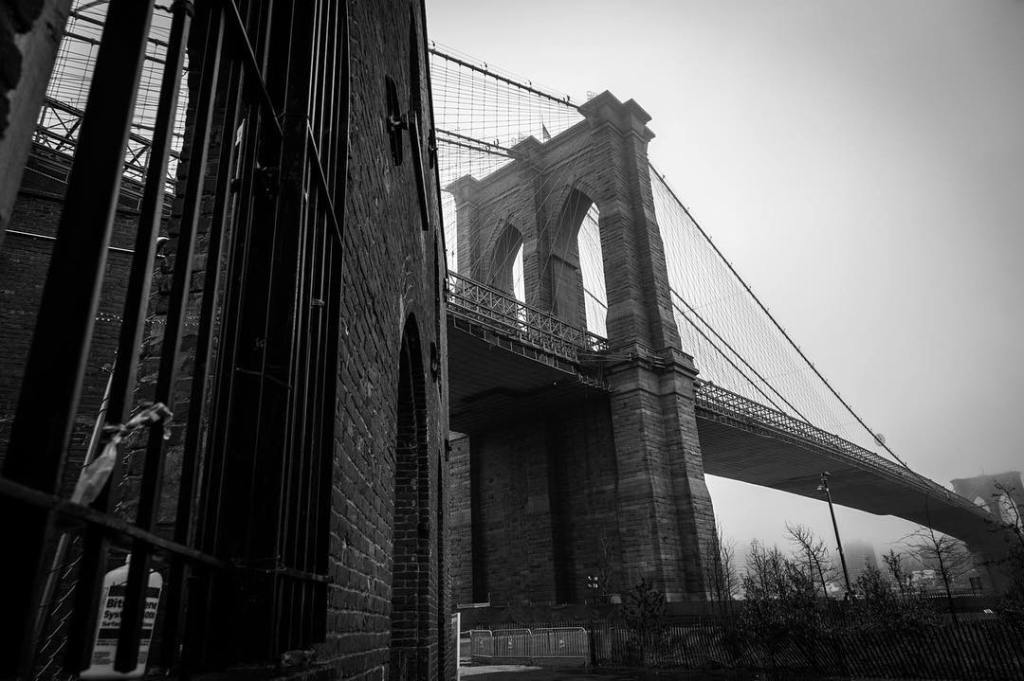 The Empress of Middagh Street – by Steve&nbsp;Slavin