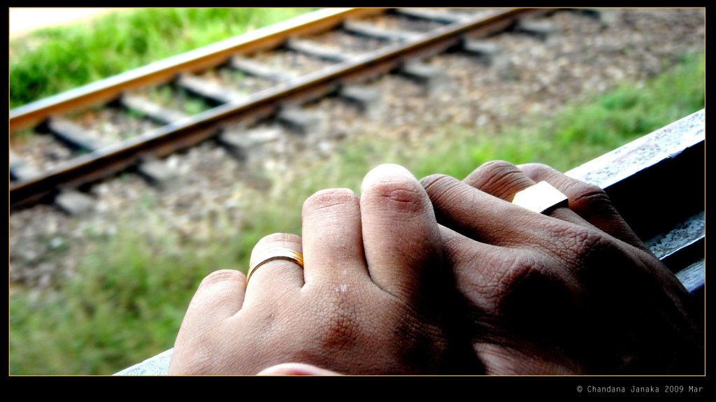 Love Struck – by Carolyn&nbsp;Ward