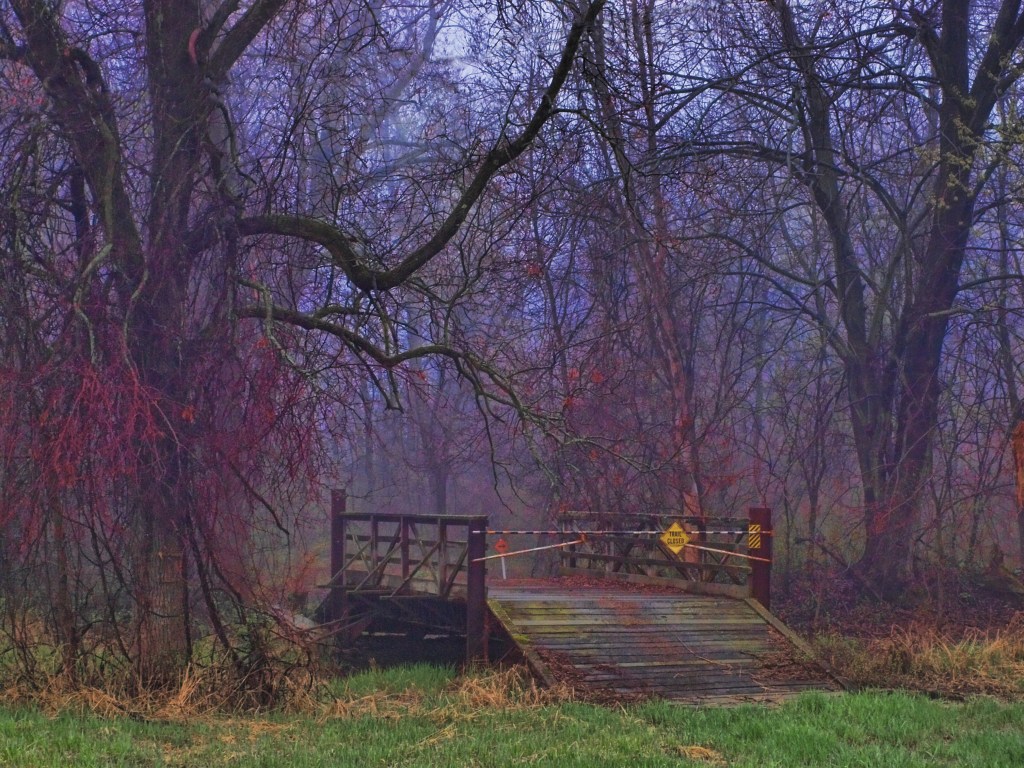 Darkness, My Old Friend – by Matthew&nbsp;Hoch