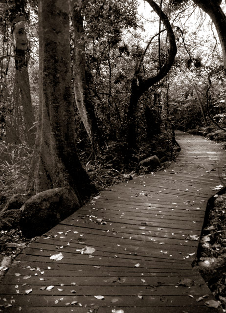 Submission – by Michael&nbsp;Marrotti