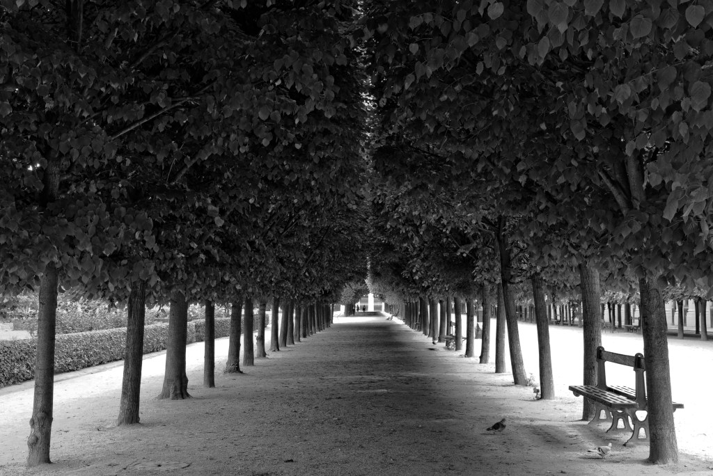 A Respite in Park Avenue – by Max Willi&nbsp;Fischer