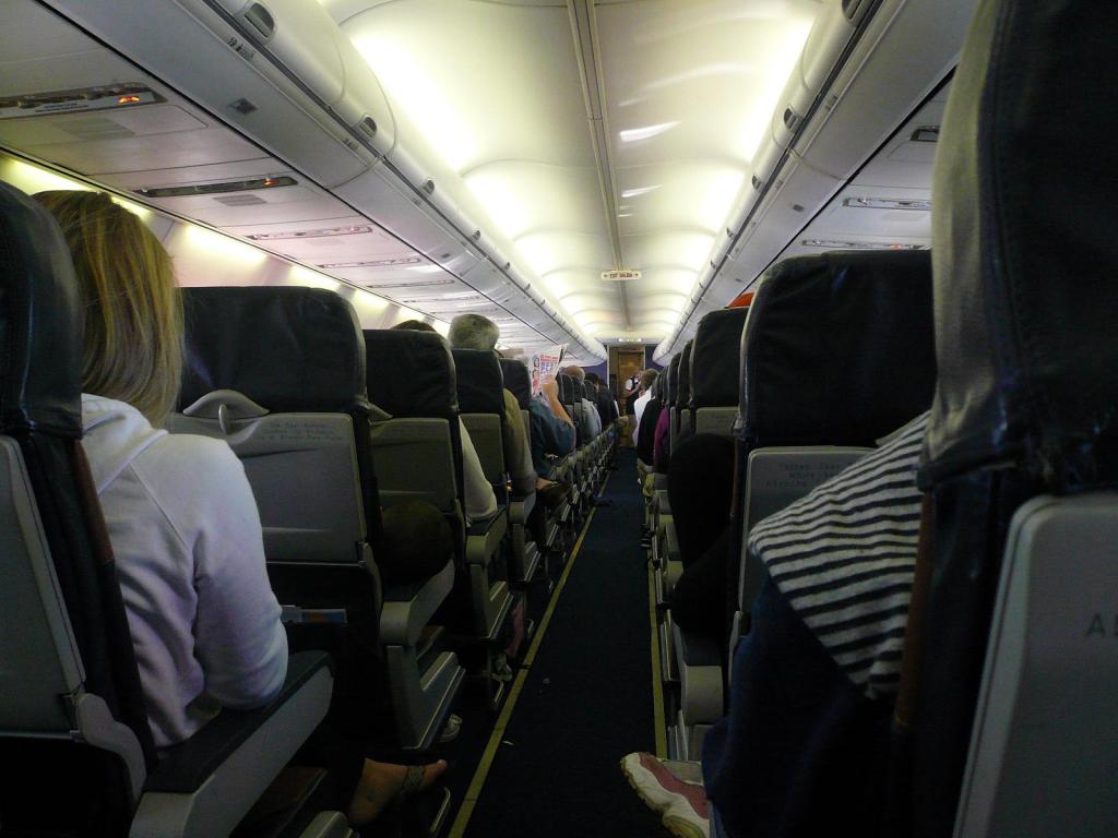 Bodies on Planes – by Amanda&nbsp;Bermudez