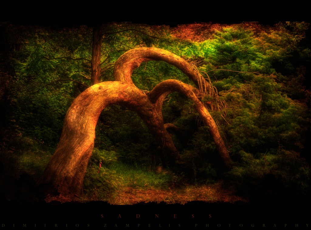 A Poetry Collection – by Derek&nbsp;Collins