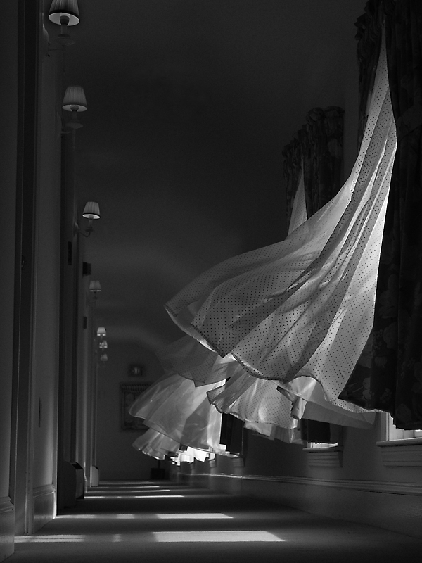 Carried on a Breeze – by Mike&nbsp;Power