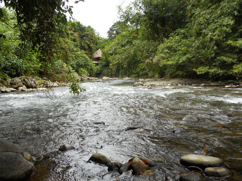Down By the River – by Tom&nbsp;Bentley
