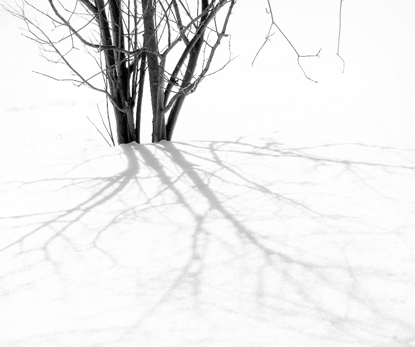 Cobwebs in the Wind – by Christy&nbsp;Adams