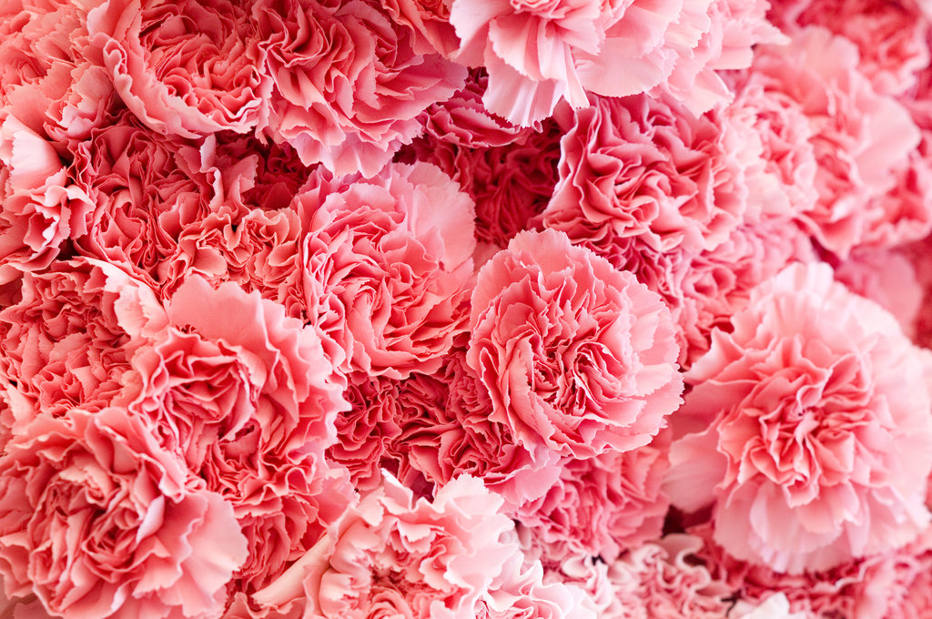 Ramblings of a Mother – by Alina&nbsp;Senderzon