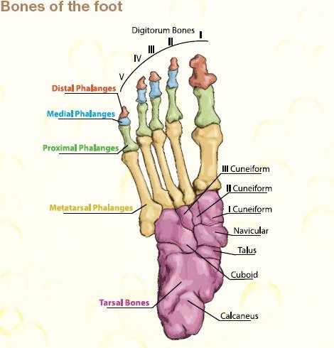 TOE OF TOE HALL – Nick&nbsp;Black