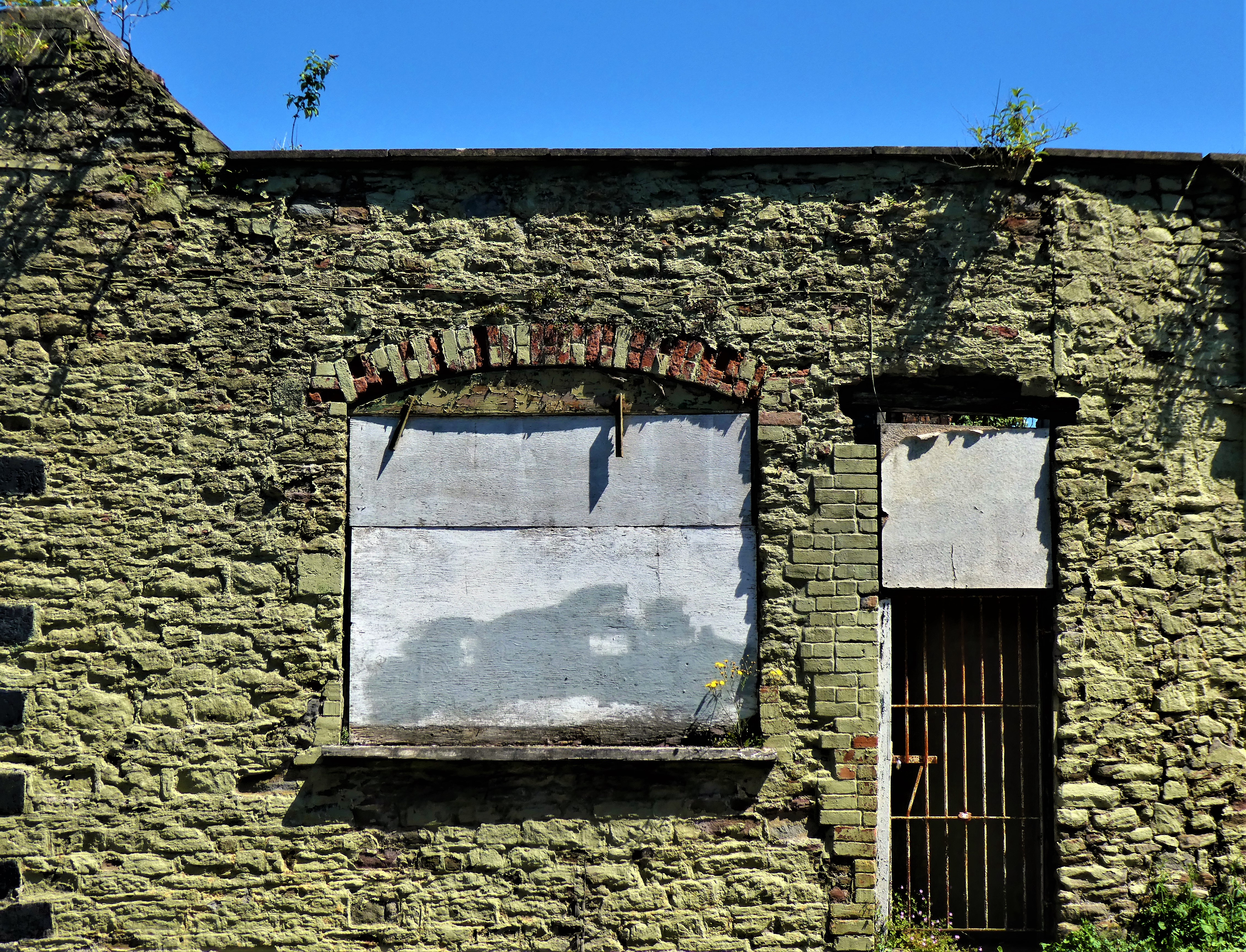P1110956