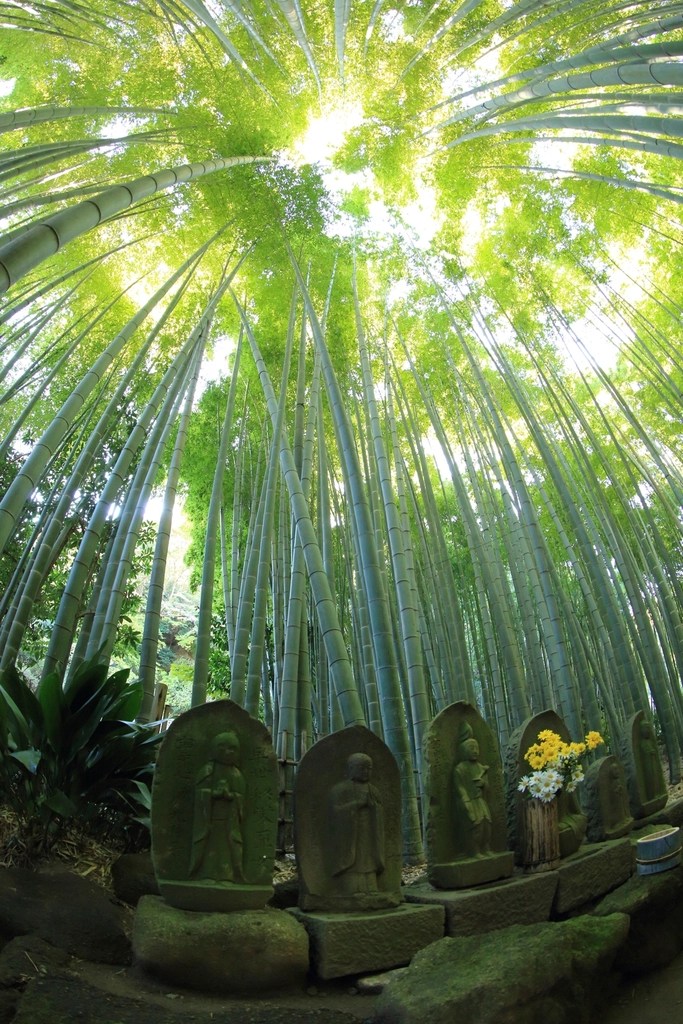 A serene bamboo forest with tall green bamboo stalks reaching towards the sky, framed by dappled sunlight. In the foreground, carved stone statues are lined up, some adorned with flowers, adding a spiritual ambiance to the scene.