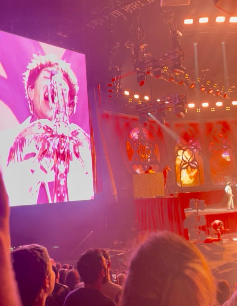A live concert scene featuring a performer singing on stage, with a large screen displaying visual effects in the background, illuminated by stage lights and surrounded by an enthusiastic audience.