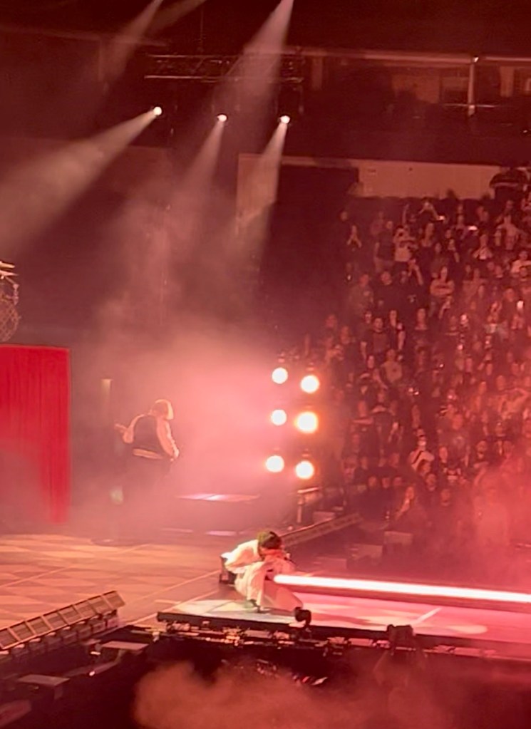 A performer on stage in a dramatic pose, with smoke and stage lights creating an atmospheric background, while the audience watches intently.
