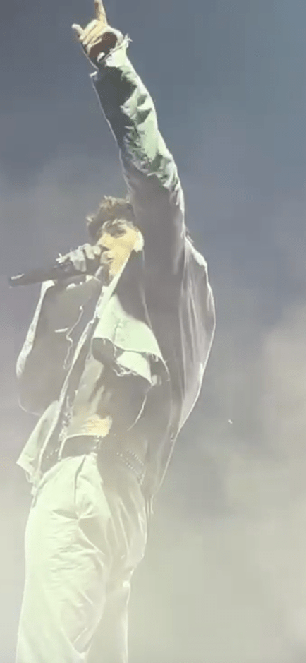 A performer wearing a denim jacket and light-colored pants stands on stage, pointing upward while holding a microphone. The background is filled with smoke and colorful lighting, creating a dynamic concert atmosphere.